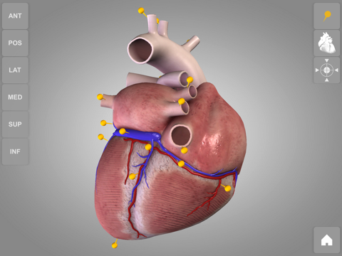 心臓解剖 Heart 3D Atlas of Anatomyのおすすめ画像2