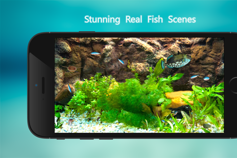 Tanked Aquarium 3D - Relaxing Tropical Scenes with Coral Reef, Sharks & Fish Tank screenshot 2