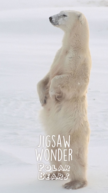 Jigsaw Wonder Polar Bear Puzzles for Kids Free screenshot-3