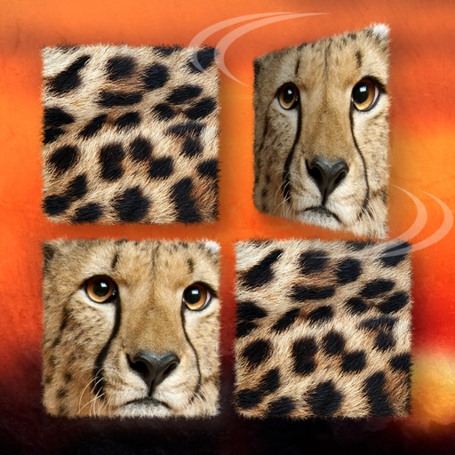 Wildlife Safari Photo Memo Puzzle Free Icon