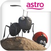 Minuscule for Kids: Bugs on the Run!