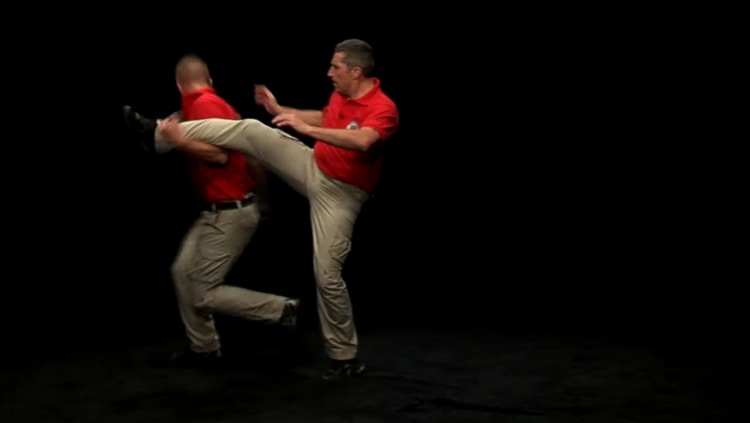 Krav Maga - Basic Techniques screenshot-4