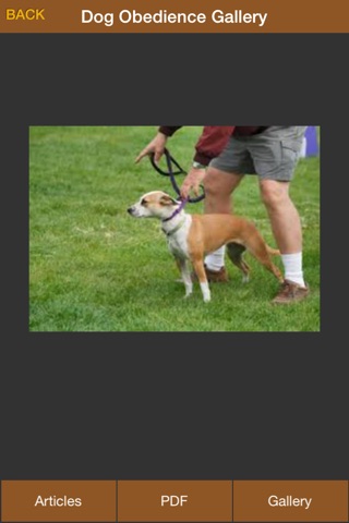 Dog Obedience Guides - Train Your Dog Effectively, Dog Training Tips, Dog Gallery screenshot 3