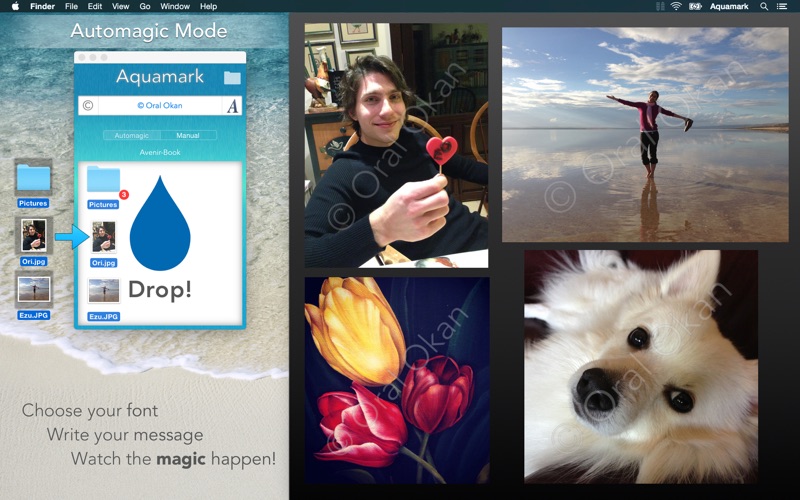 Aquamark - Automagic Watermark thumbnail 2