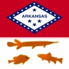Arkansas Lakes – Fishing