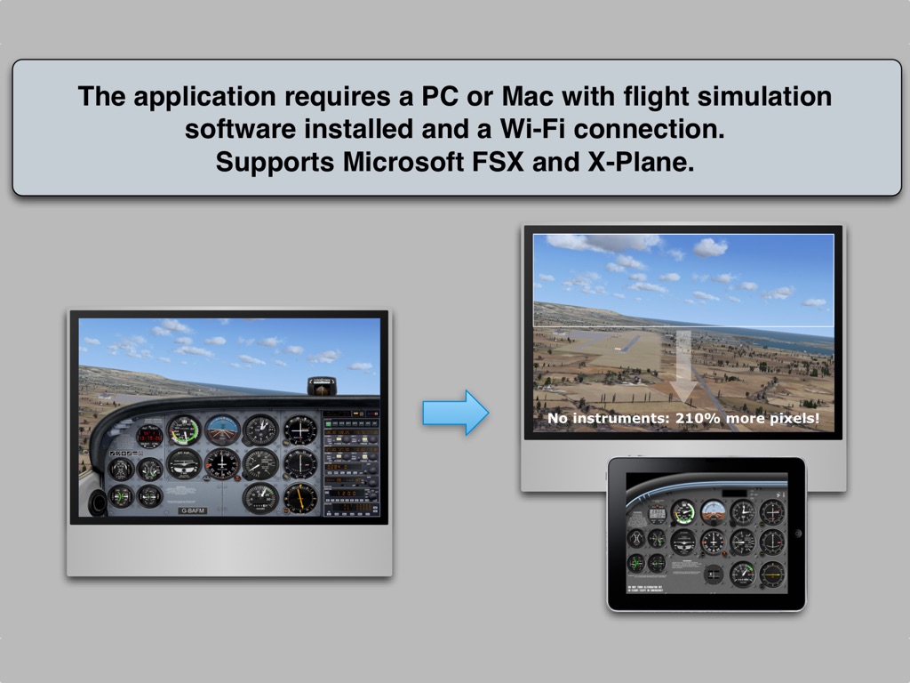 FSi C172 screenshot 3