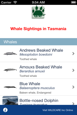 Whales and Seals screenshot 2