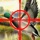 A Cool Adventure Hunter The Duck Shoot-ing Game by Animal-s Hunt-ing & Fish-ing Games For Adult-s Teen-s & Boy-s Free