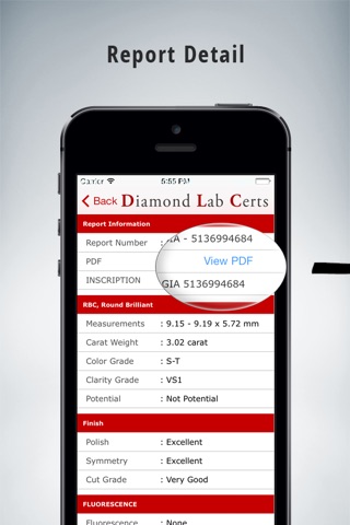 Diamond Lab Certs Free screenshot 2