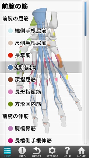 3d筋肉図鑑 をapp Storeで