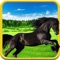 Forest Horse Jumping 3D Free