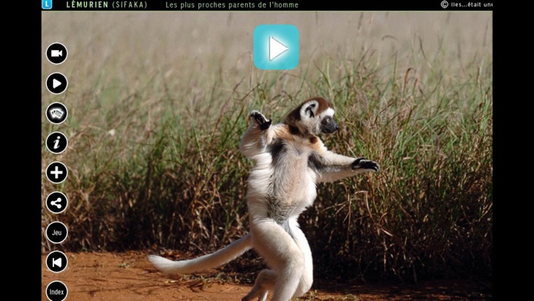 Au paradis des animaux screenshot-4