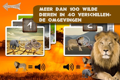 Sound Game Wildlife Photo screenshot 4