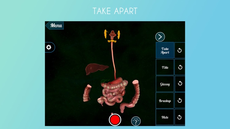 VR Human Digestive System