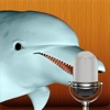 Talking Dolphin