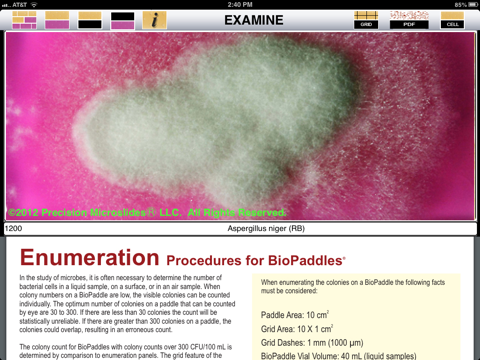 BioPaddles screenshot 3