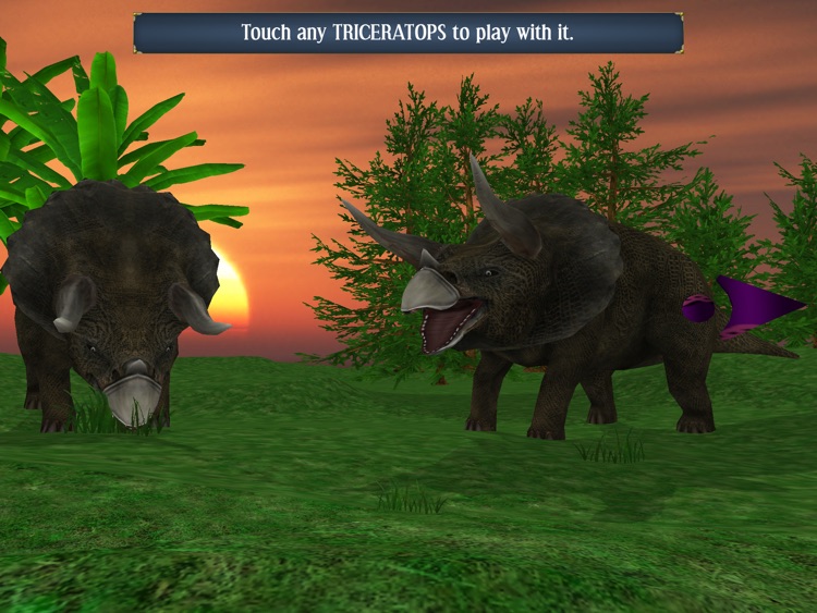 Magic Boox: Dinosauria screenshot-4