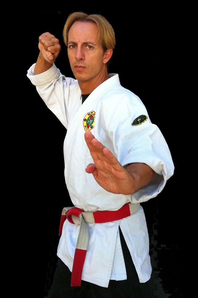 Self Defense - The Best Martial Arts Course with 3D animations Lite screenshot 3