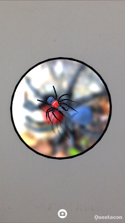 SPIDERS AR screenshot-3