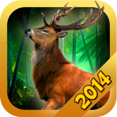 Activities of Deer Hunter : Animal Shooting with Action, Adventure and Fun Games