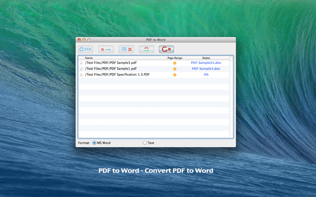 PDF to Word