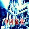 中国泵业v