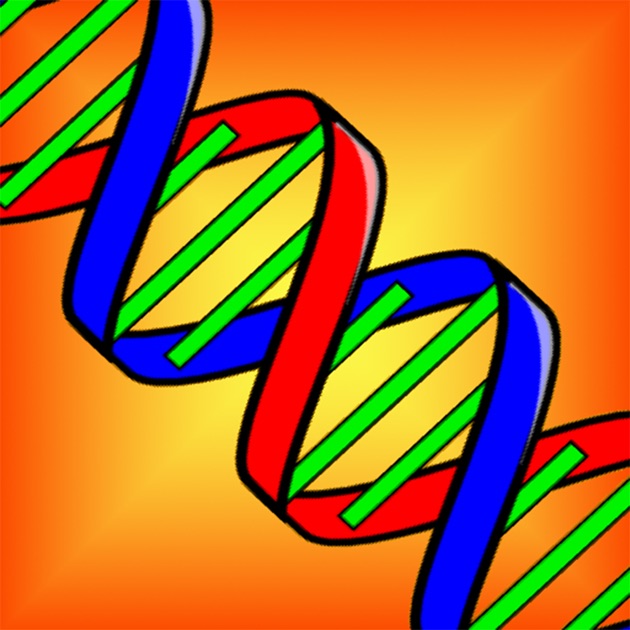 Genetics Birth Defects Medical Dictionary And Terminology Of Human 