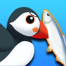 Activities of Pata-Pata Bird!! Flappy Puffin touch numbers