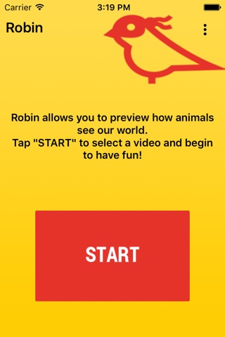 Robin Animal Vision screenshot 3