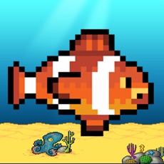 Activities of Splashy Flappy Fish Game