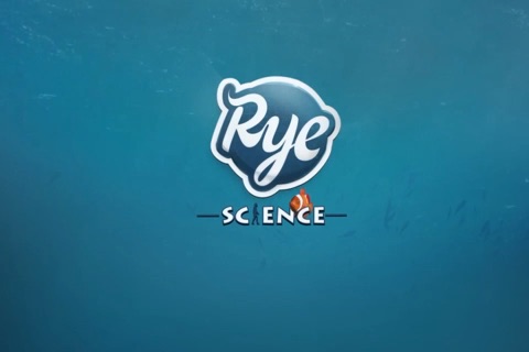 MarineLife -by Rye Studio screenshot 4