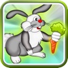 Rabbit Jump , the mega race joyride - Free edition