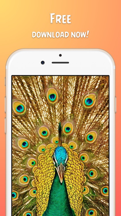 Wallpapers for iPhone - themes for iphone, cool wallpaper and funny screens screenshot-3