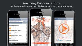 Anatomy Pronunciations screenshot1