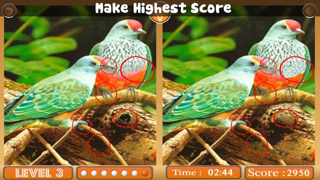 Birds Spot The Differences(圖2)-速報App