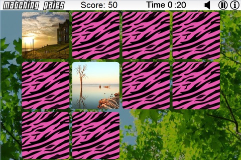 Matching Pairs Landscape screenshot 2