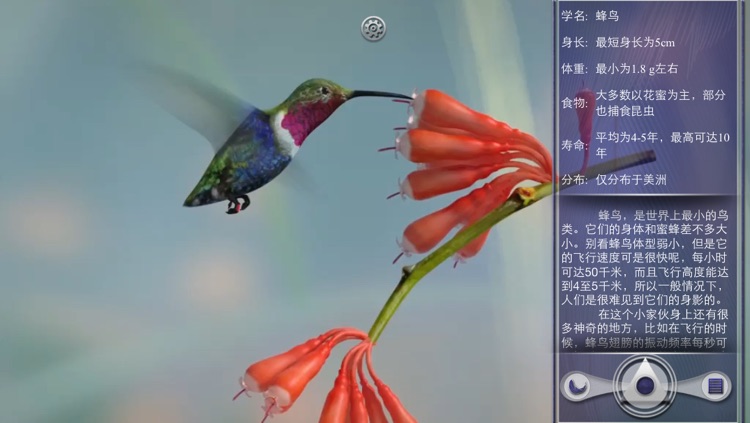 Birds -by Rye Studio™ screenshot-4