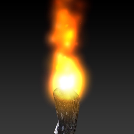 Pocket Torch