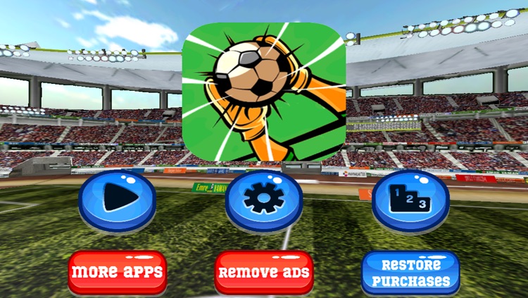 Flick Goalkeeper - Can you stop the soccer ball of a football striker's perfect kick? screenshot-4