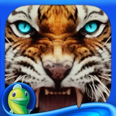 Activities of Surface: Reel Life - A Supernatural Hidden Object Mystery