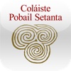 Coláiste Pobail Setanta