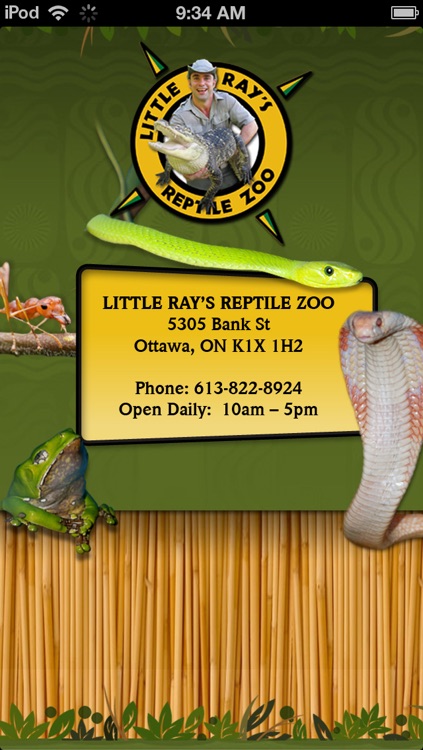 Little Ray's Reptile Zoo