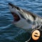 Icon Shark Puzzles for Kids Free Jigsaw Wonder Collection