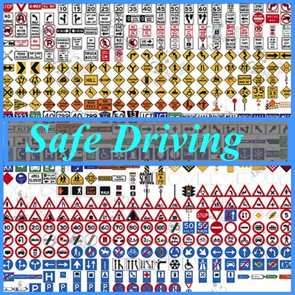 Safe Driving icon