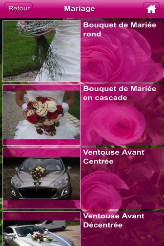 Les Fleurs de Majolan screenshot 3