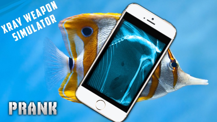 Simulator X-Ray Fish