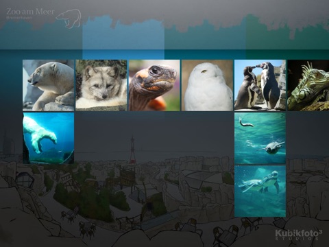 Zoo am Meer screenshot 2