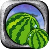 Rolling Watermelon Maze Control Pro - Fruit Mountain Tilt Slide Physics Game