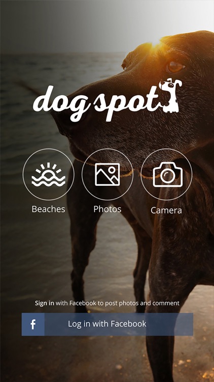 The Dog Spot Beach Guide