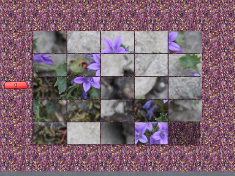 Natural Puzzles screenshot 3